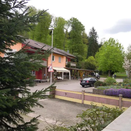 Ferienwohnung Haller Apartment Lahr (Baden-Wurttemberg)