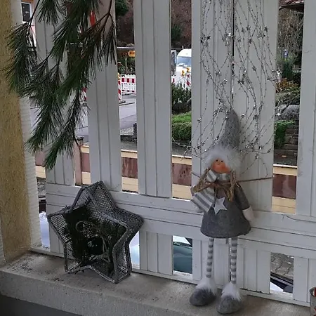 Apartment Ferienwohnung Haller *